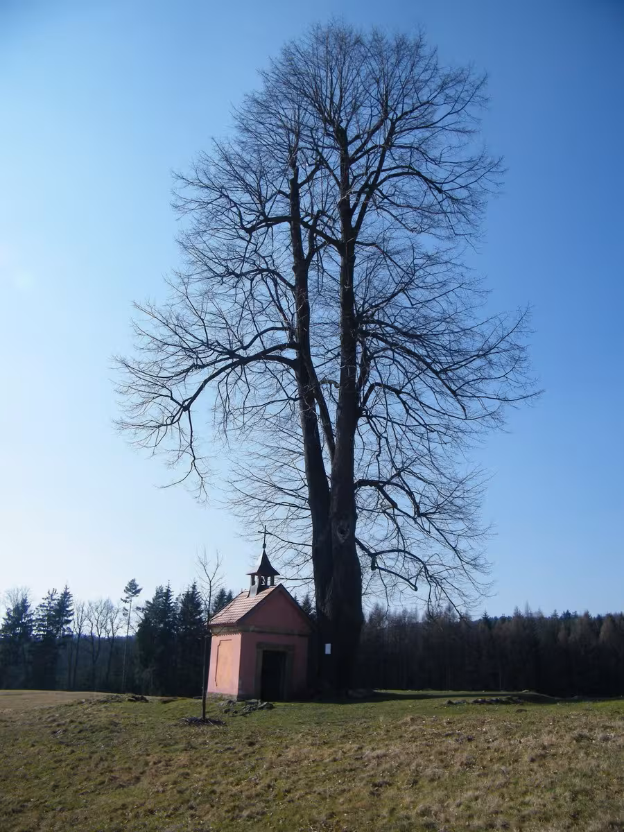 Today's view – kaple Nejsvětější Trojice (Doubice)
