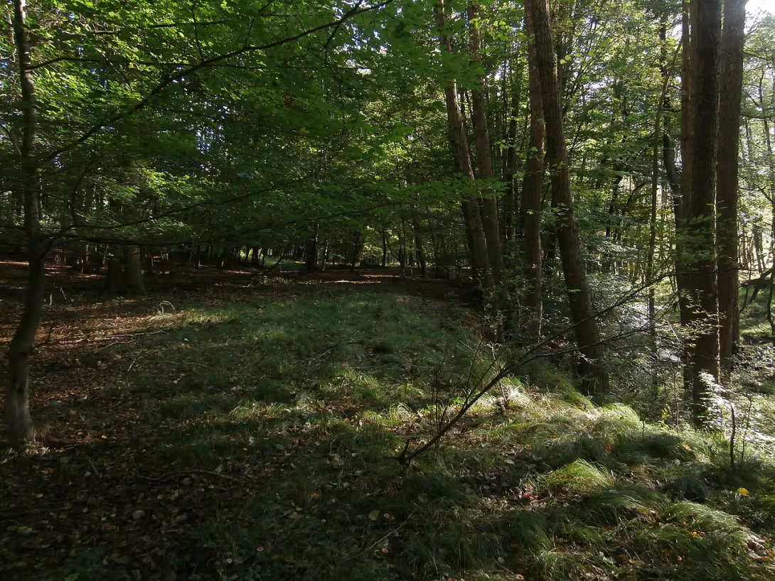 Dzisiejszy widok – Dehtárská