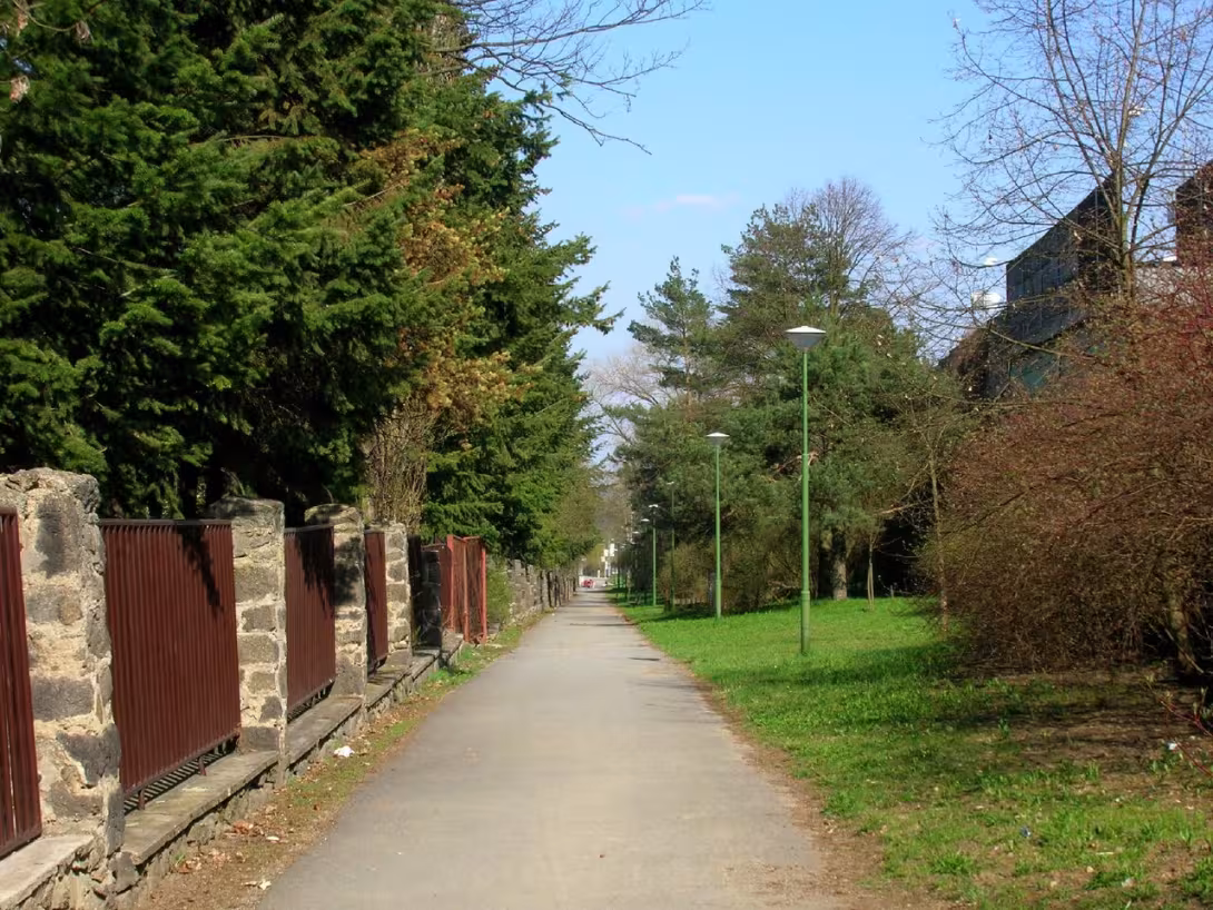 Today's view – Janáčkovo stromořadí