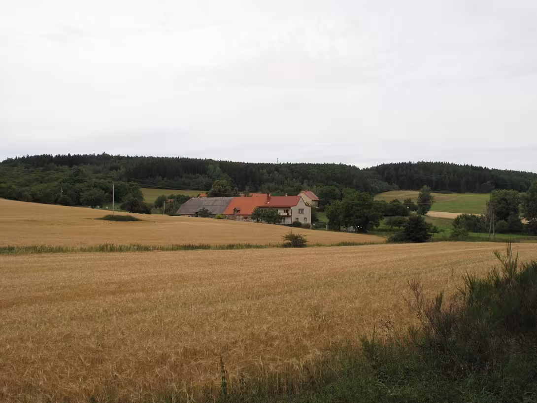 Dnešní pohled – Osojno