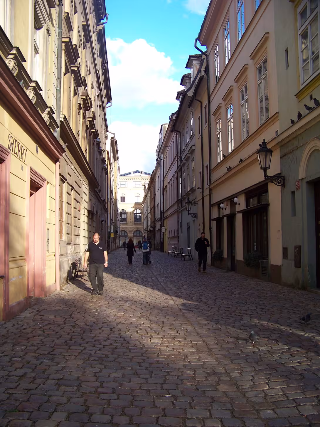 Dnešní pohled – V kotcích
