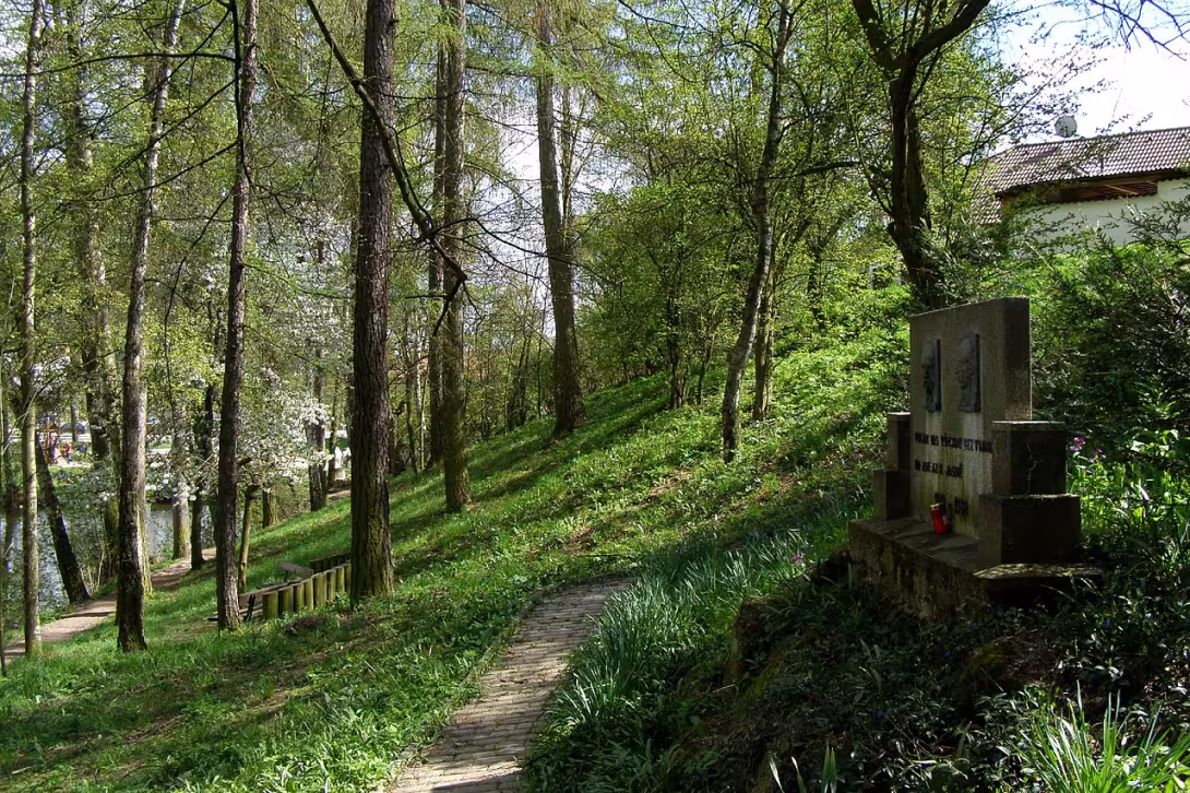 Today's view – Jubilejní háj