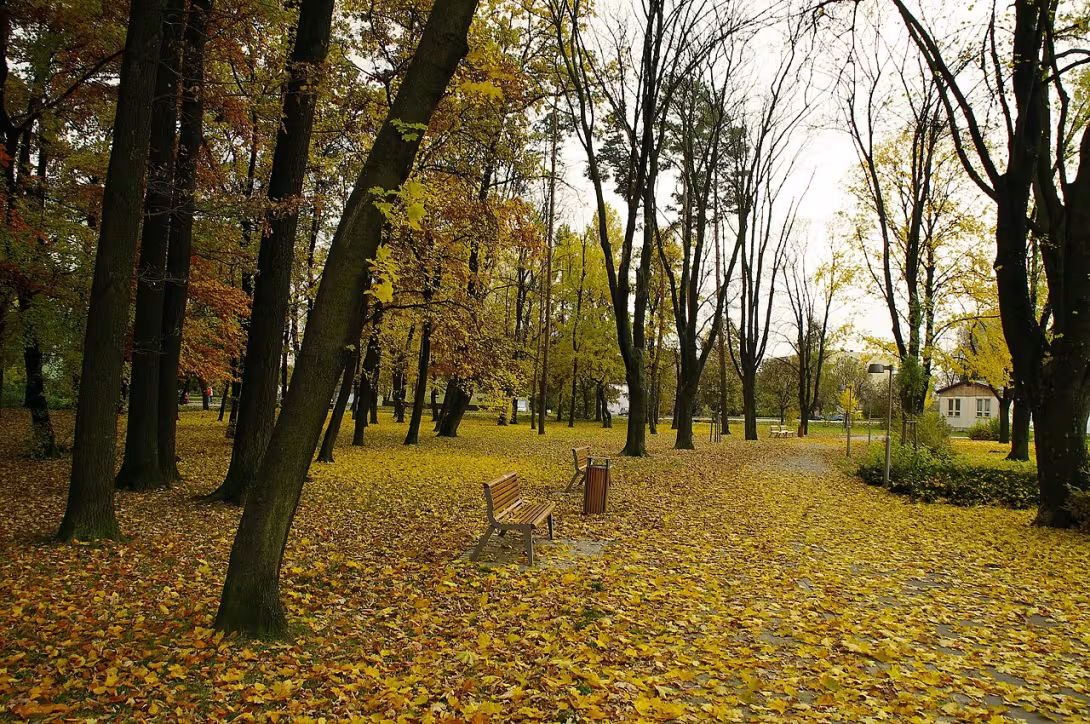 Dnešní pohled – Kolářovy sady
