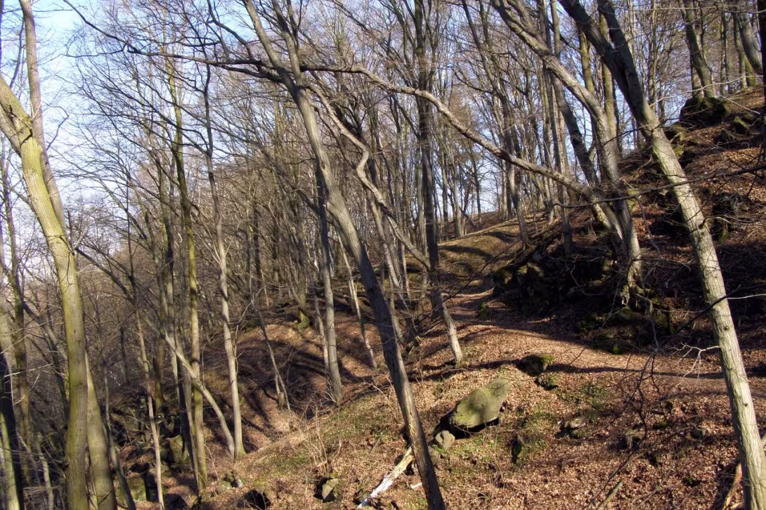 Dnešní pohled – Krajíčkova stráň