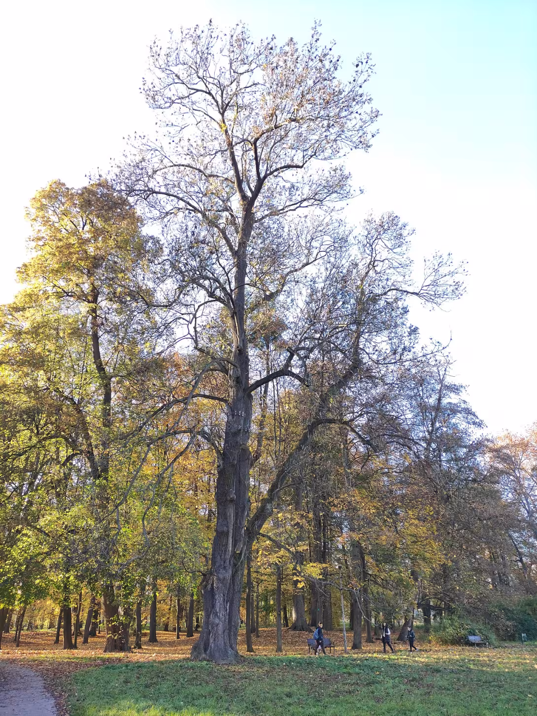 Dnešní pohled – Park Boženy Němcové