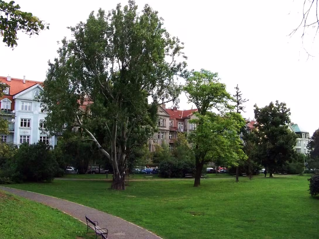 Dnešní pohled – Park Charlotty G. Masarykové