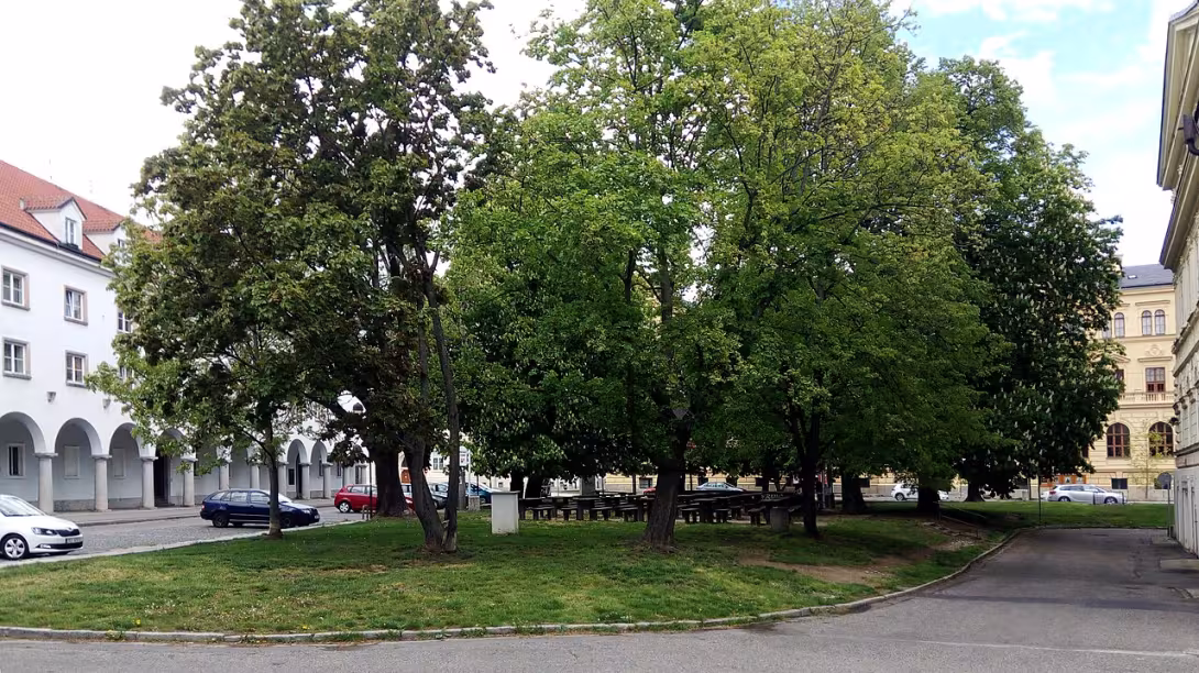 Dnešní pohled – Park Dukelská