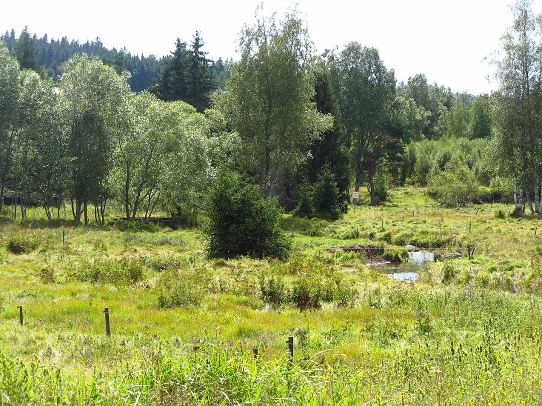 Dzisiejszy widok – ženijní můstek na Řasnici