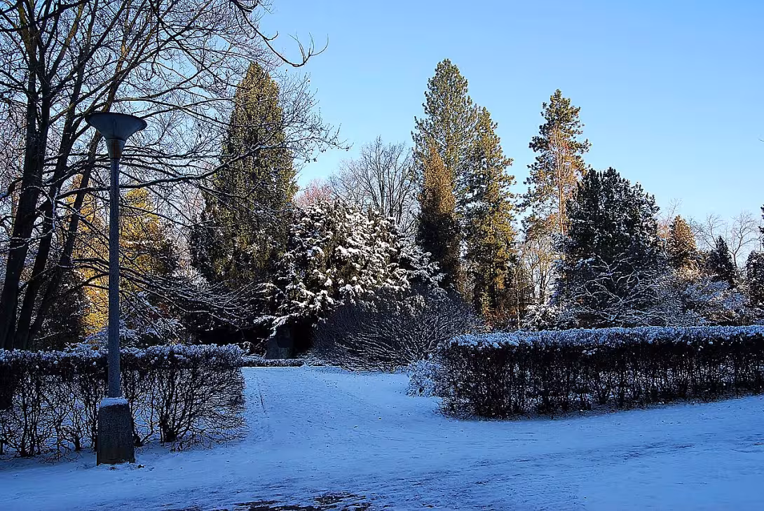 Arboretum (Václavské Předměstí)