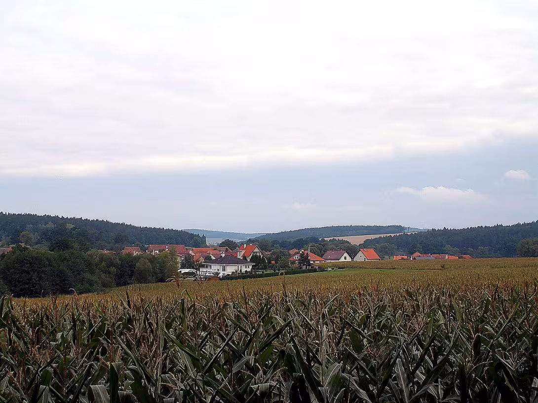 Biřkov
