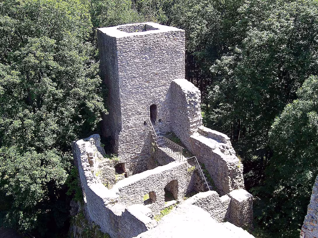 Choustník