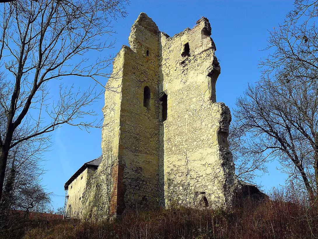 Dražice