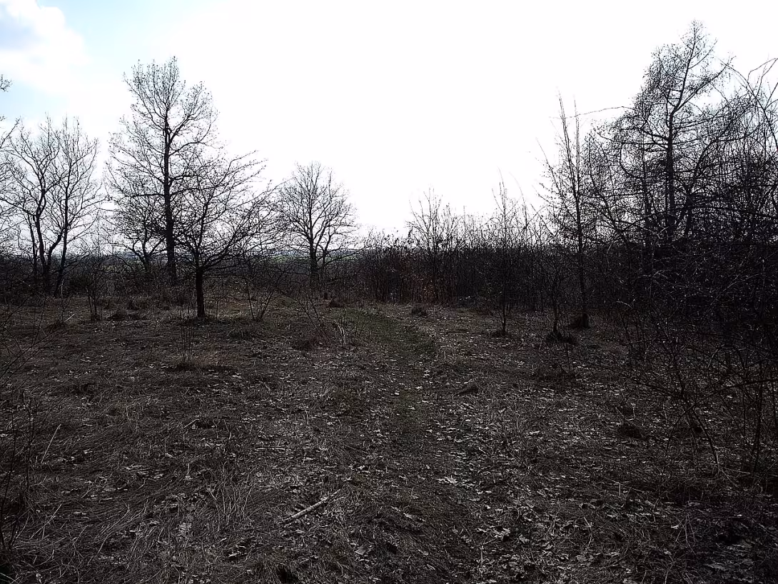 Dänemark
