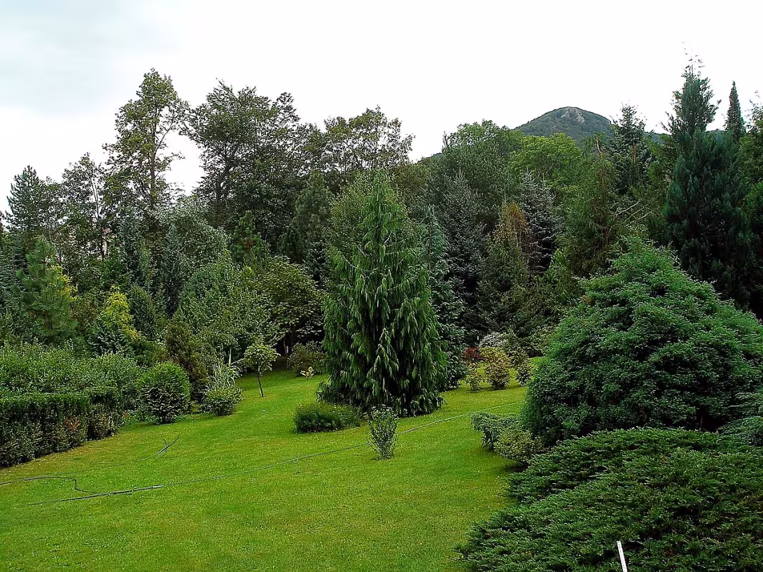 Arboretum Josefa Eberta