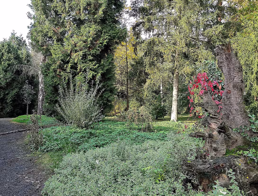 Arboretum Střední lesnické školy v Hranicích