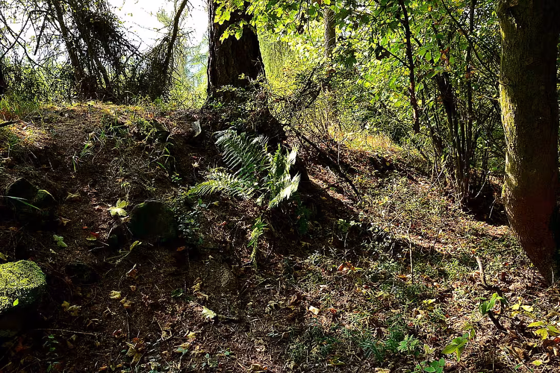 Funkenštejn