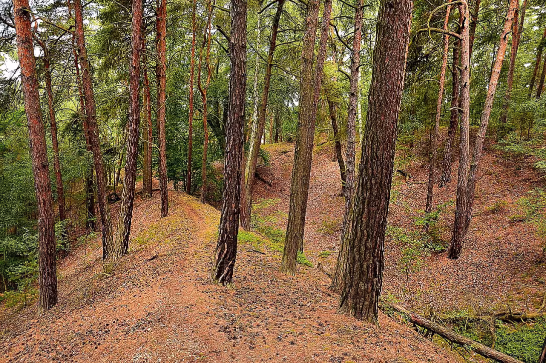 Hlavačov (Lužná)
