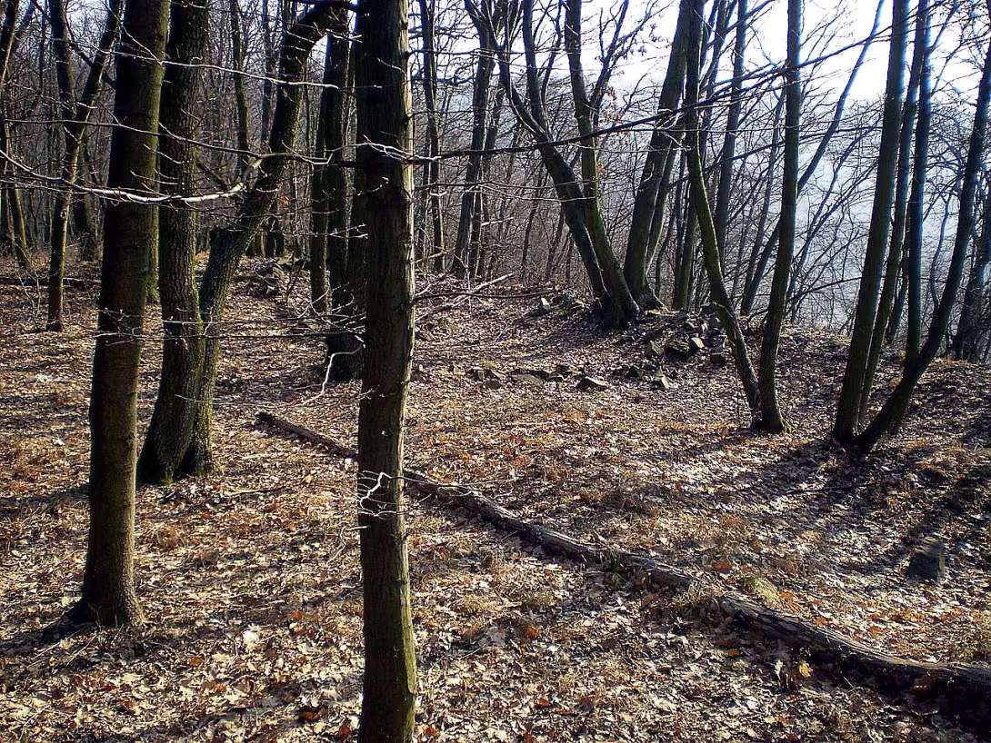 Horákov