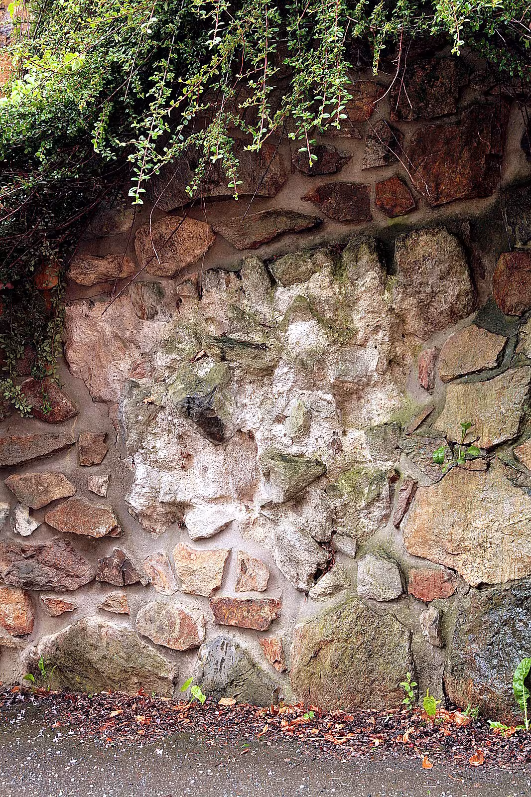 Hrad Přibyslav
