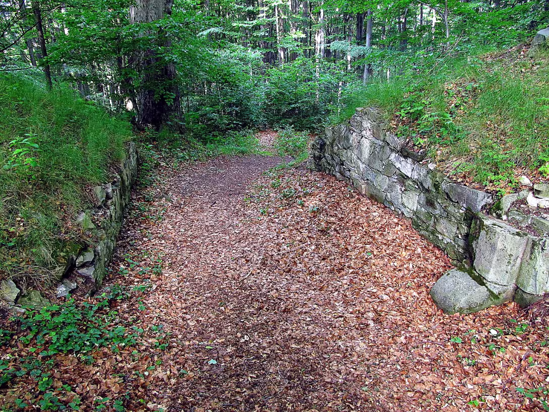 Křídlo