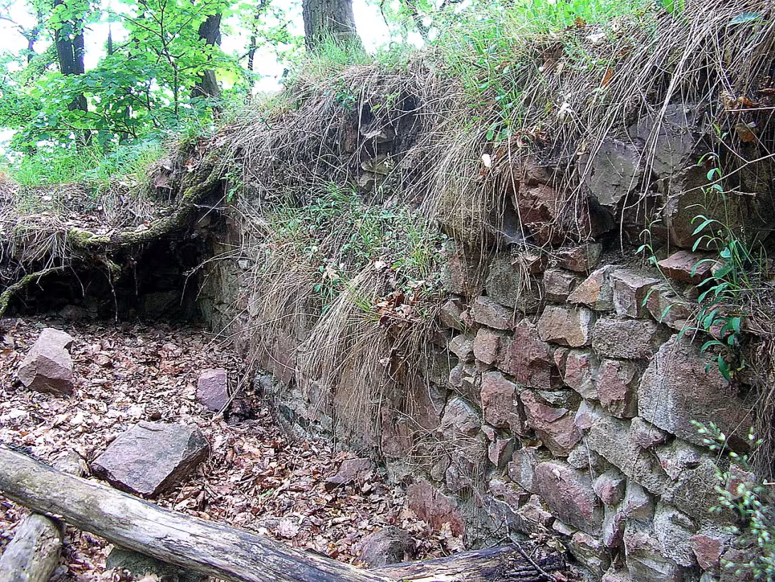 Obřany