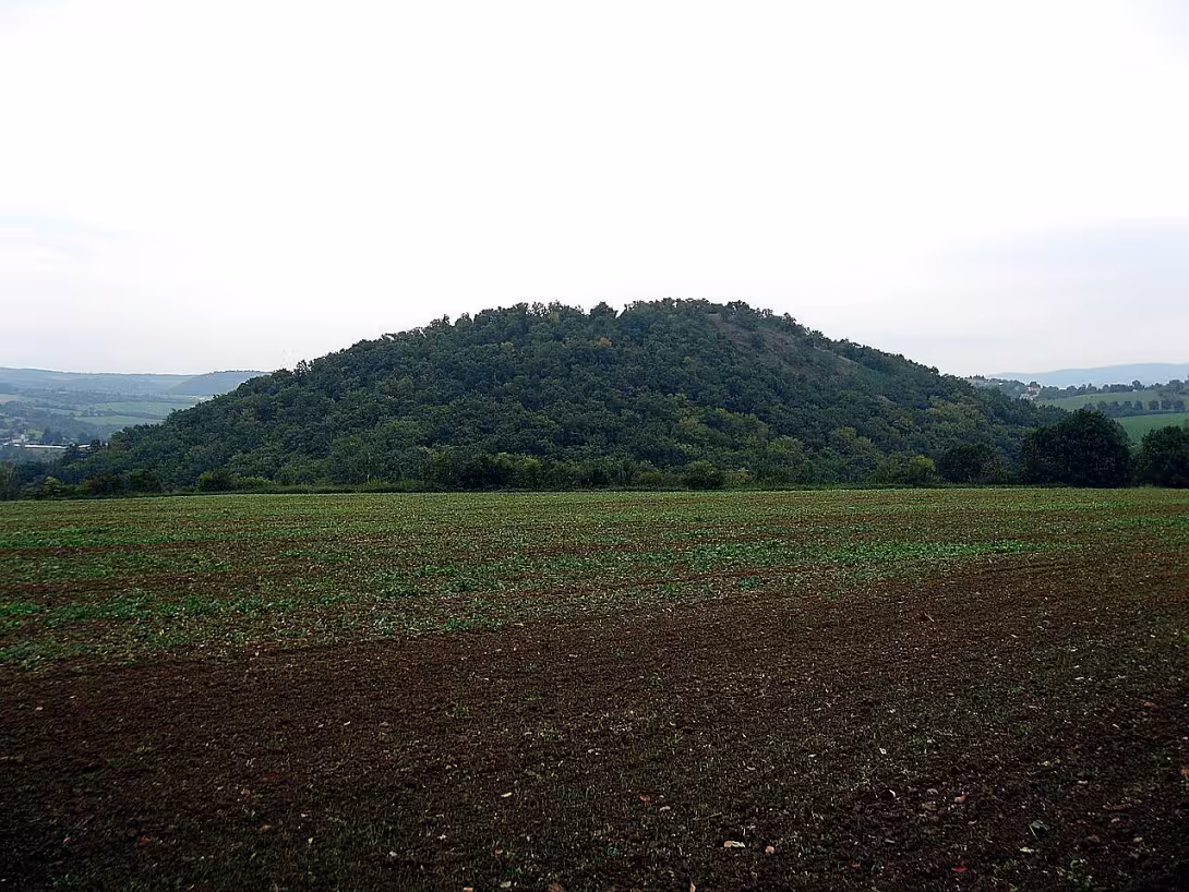 Paradies
