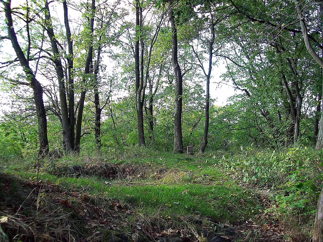 Řebřík