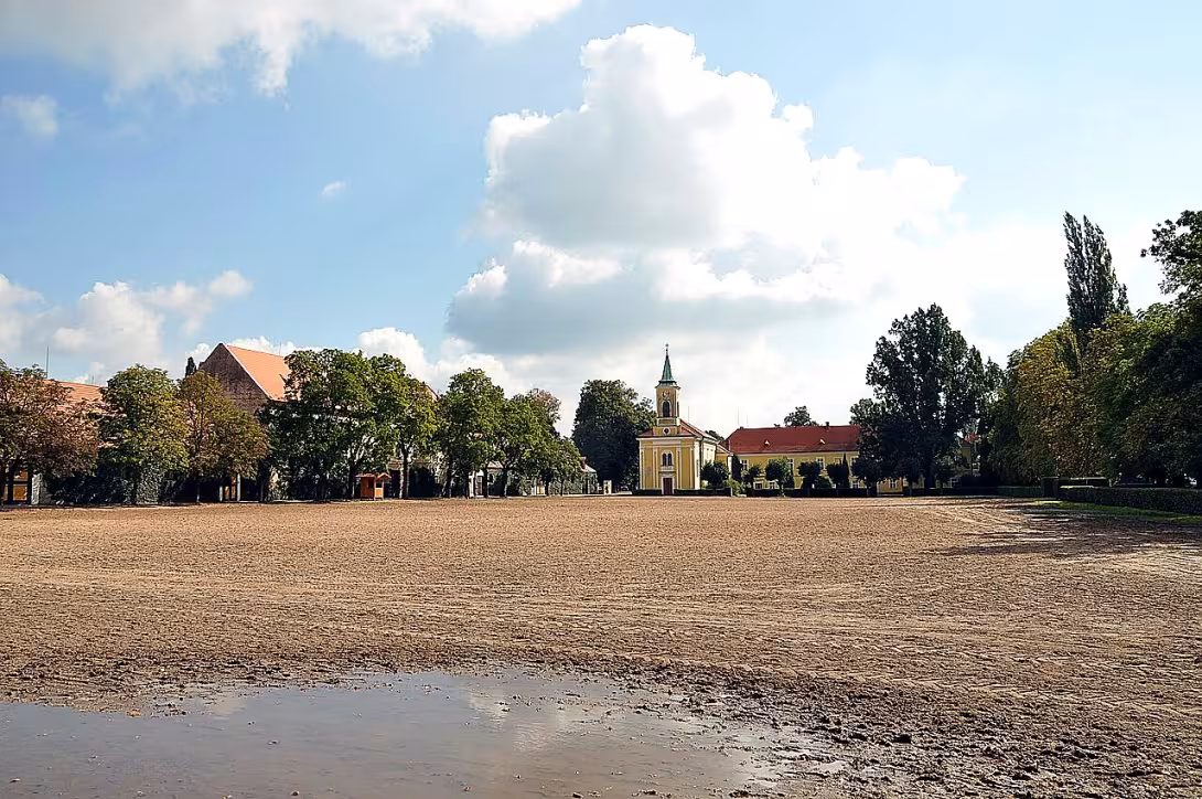 Národní hřebčín Kladruby nad Labem