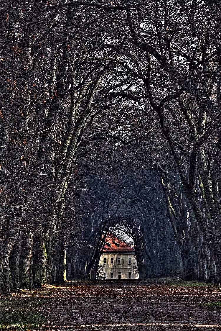Obora Hvězda