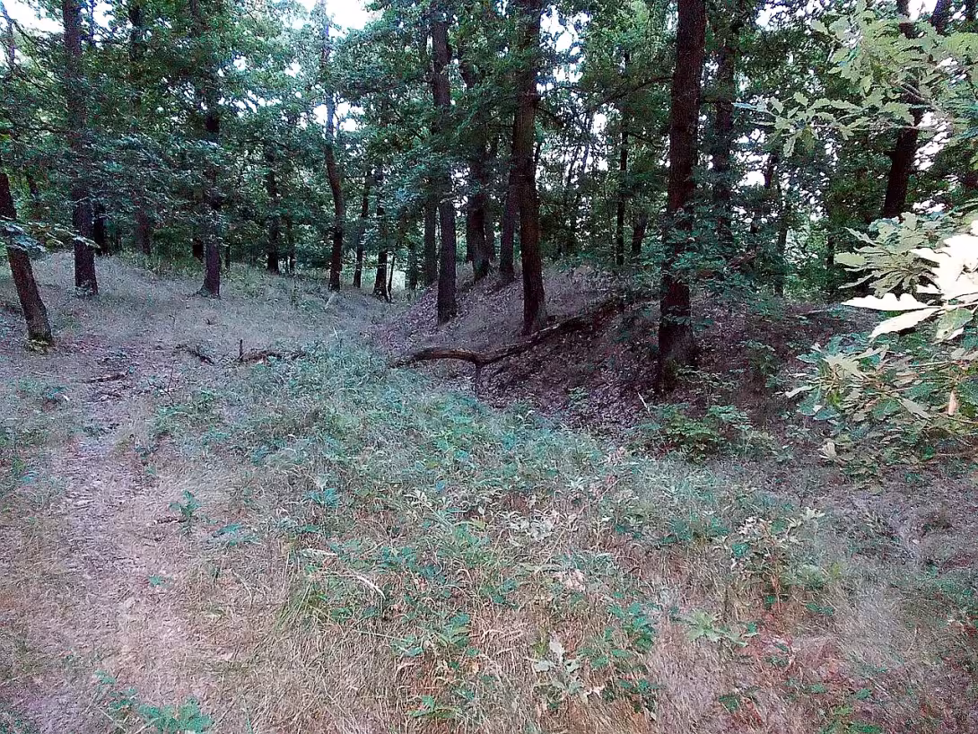 Polní opevnění před Novým hradem
