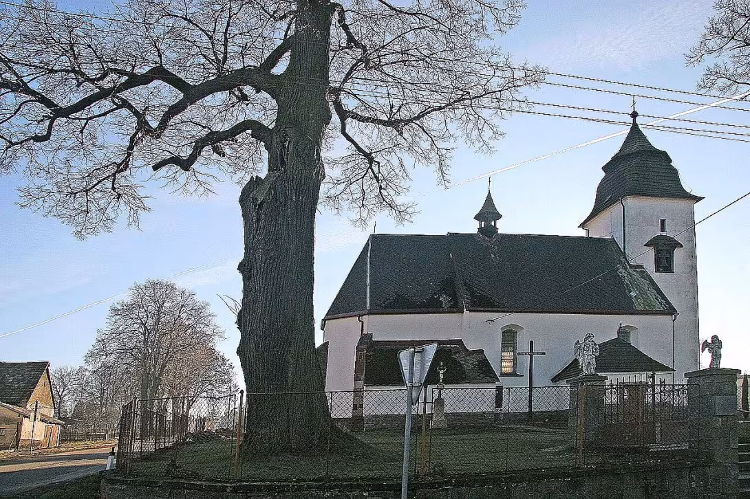Kostel Nanebevzetí Panny Marie (Číhošť)