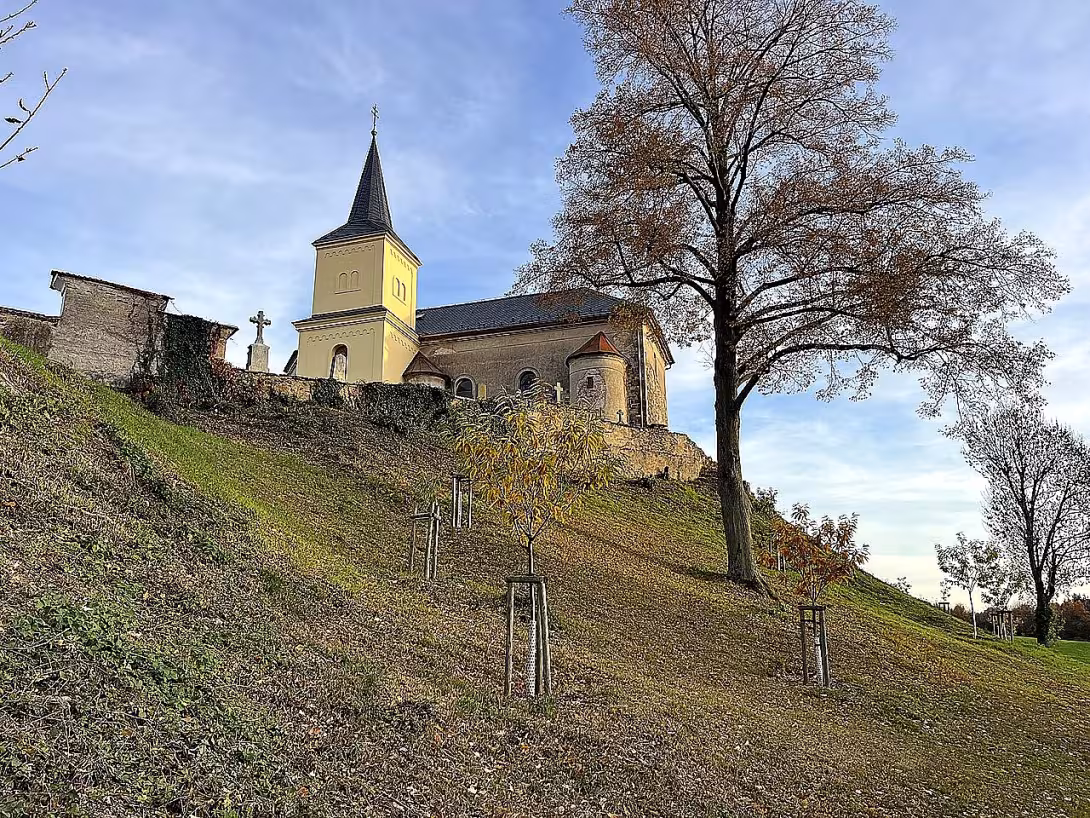 Kostel svatého Kříže (Ronov nad Doubravou)