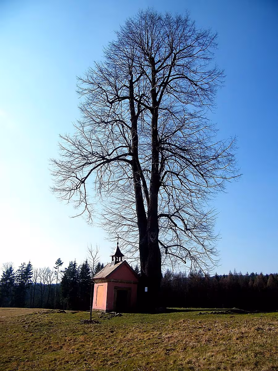 kaple Nejsvětější Trojice (Doubice)