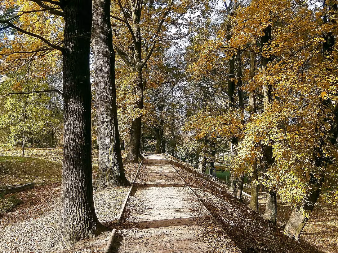 Šimkovy sady