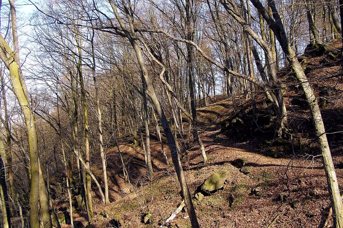 Krajíčkova stráň