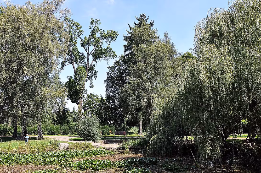 Městský park