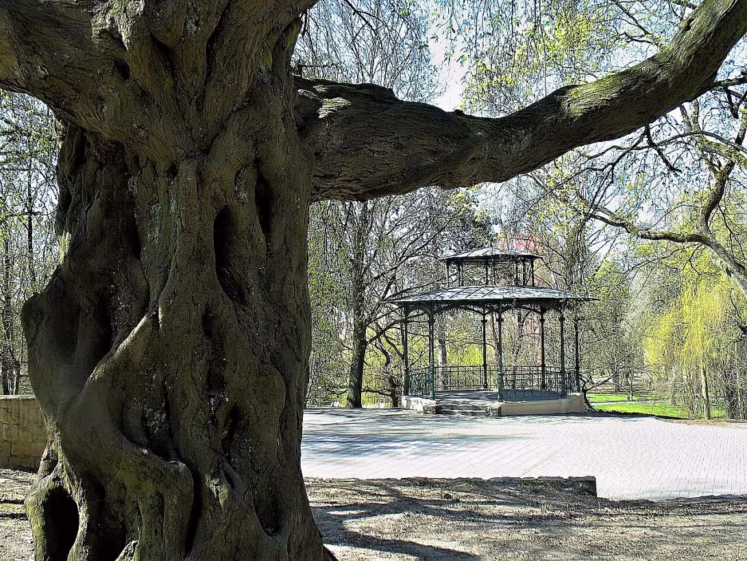 Městský park v České Lípě