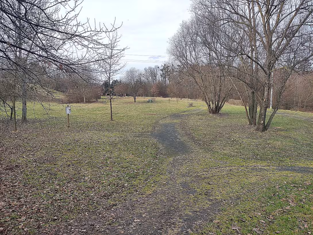 Obecní park Bolelouc