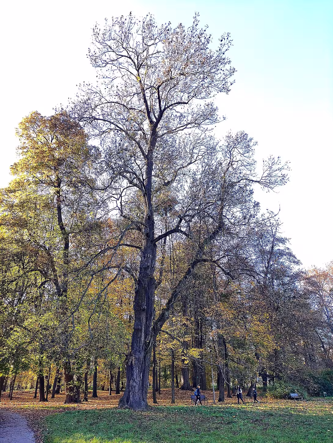 Park Boženy Němcové