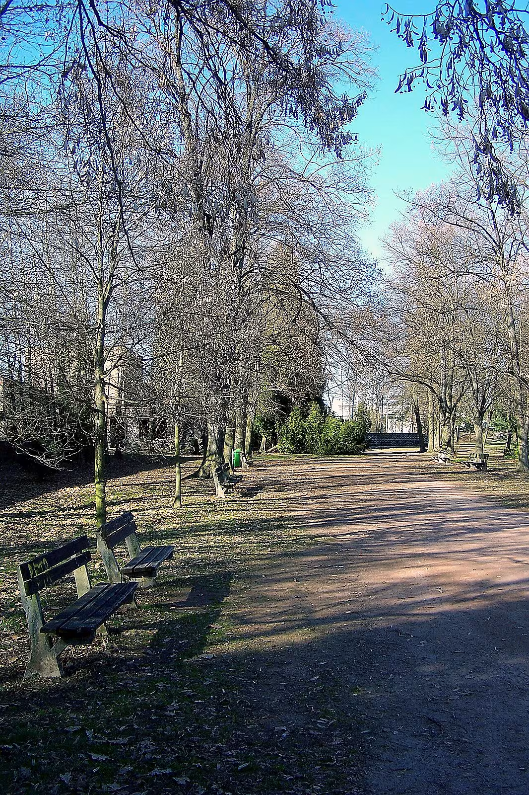 Tyršovy sady (Pardubice)