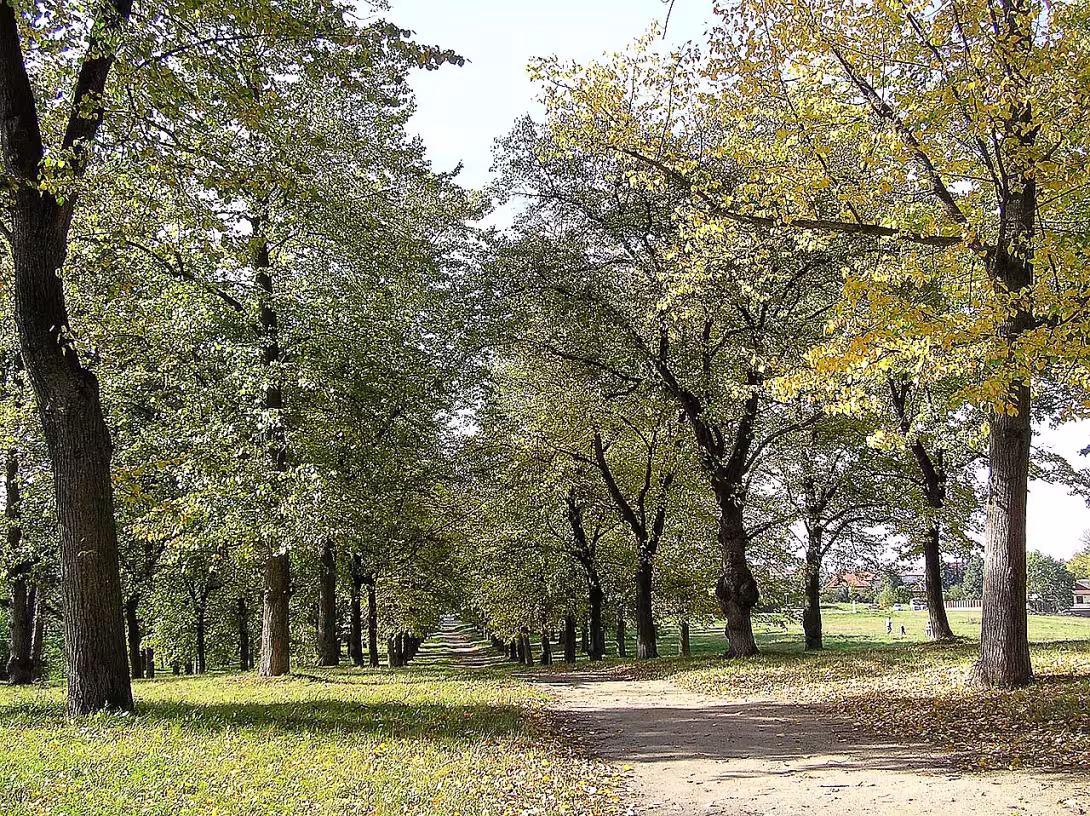 park Masarykovy sady