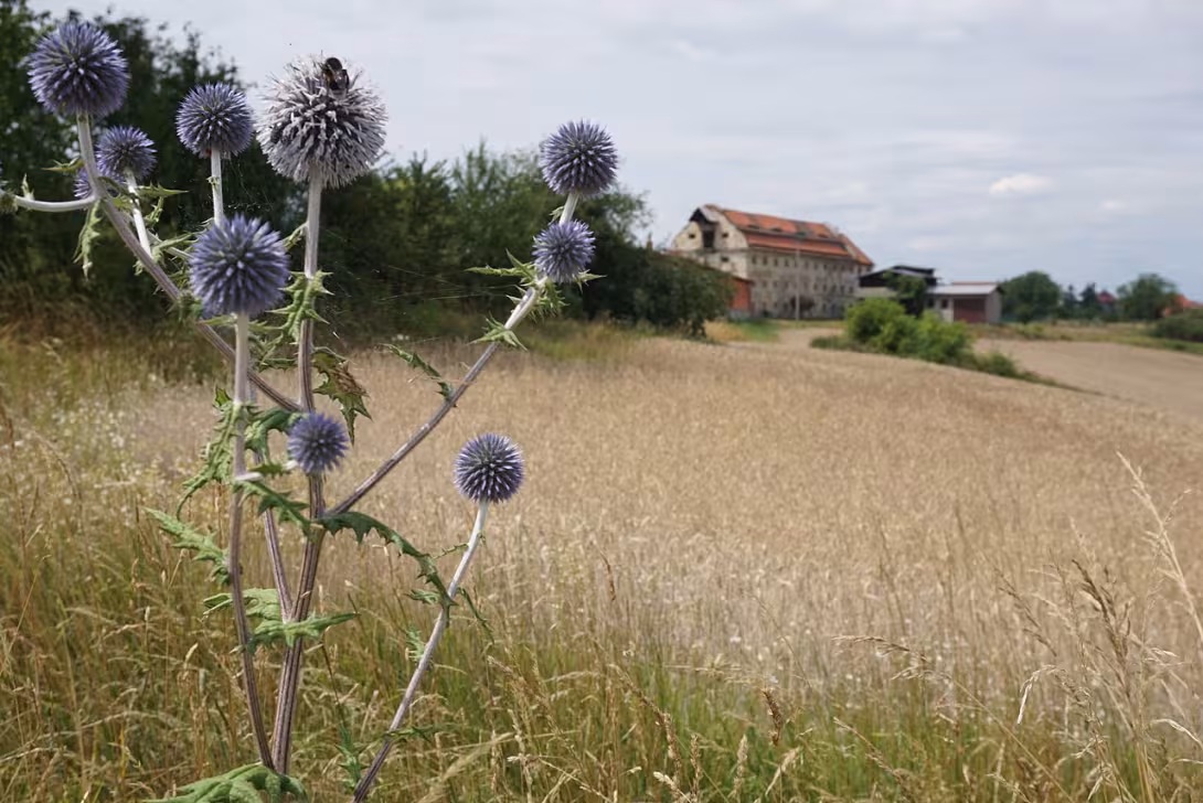 Dnešní pohled – Žatec a krajina žateckého chmele