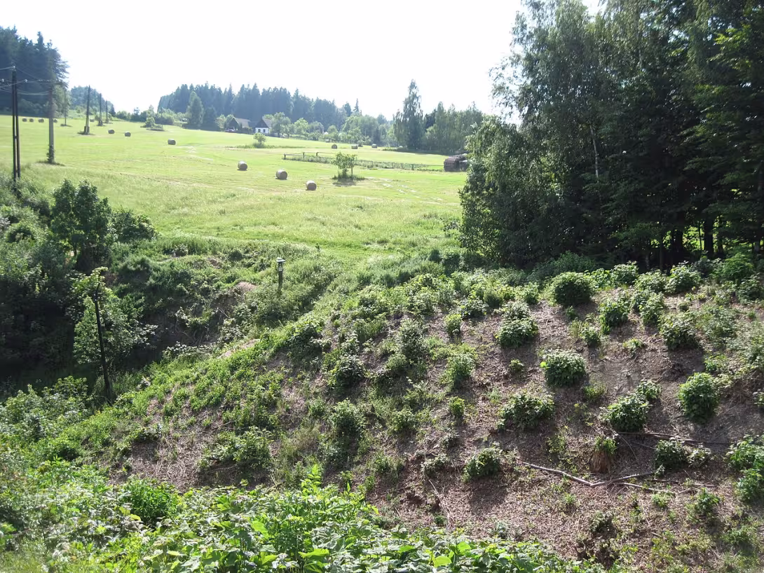 Heutige Ansicht – Boršov (hrad, okres Svitavy)