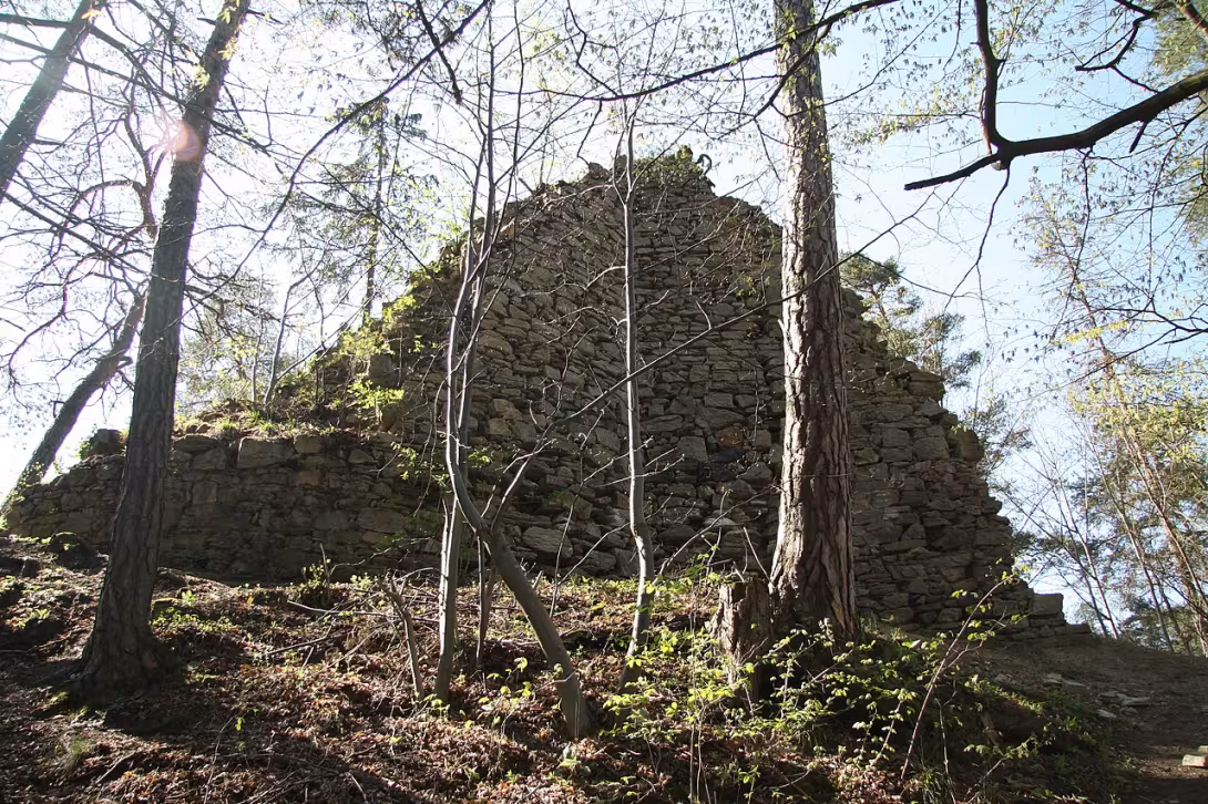 Dnešní pohled – Holoubek