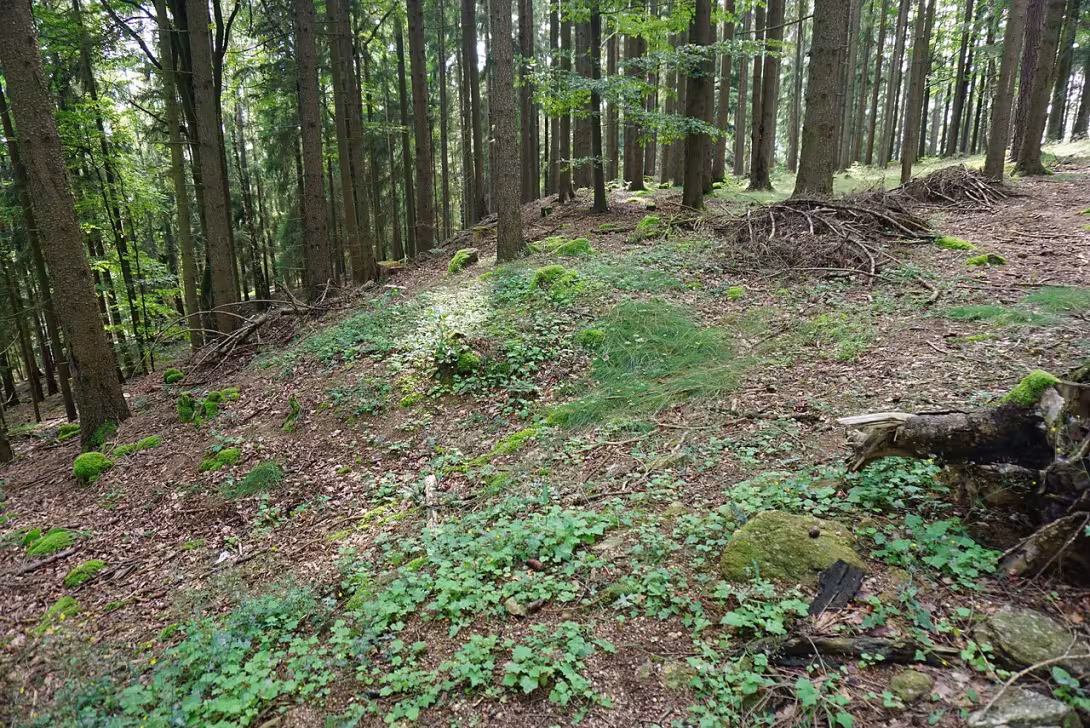 Dnešní pohled – Hradec u Kaplice