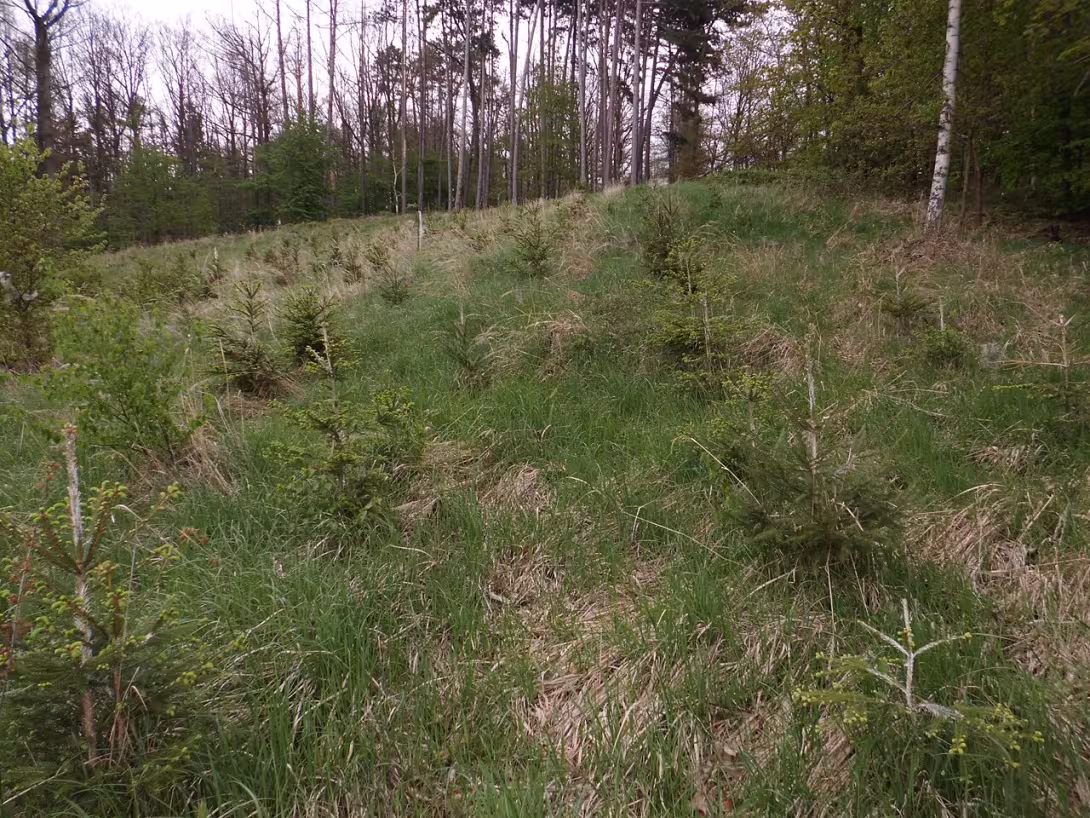 Dnešní pohled – Hradec u Řepice