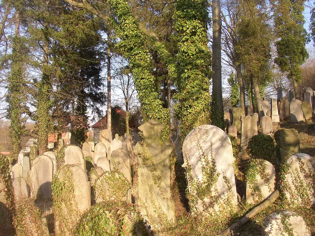 Dnešní pohled – Nový židovský hřbitov v Hostouni