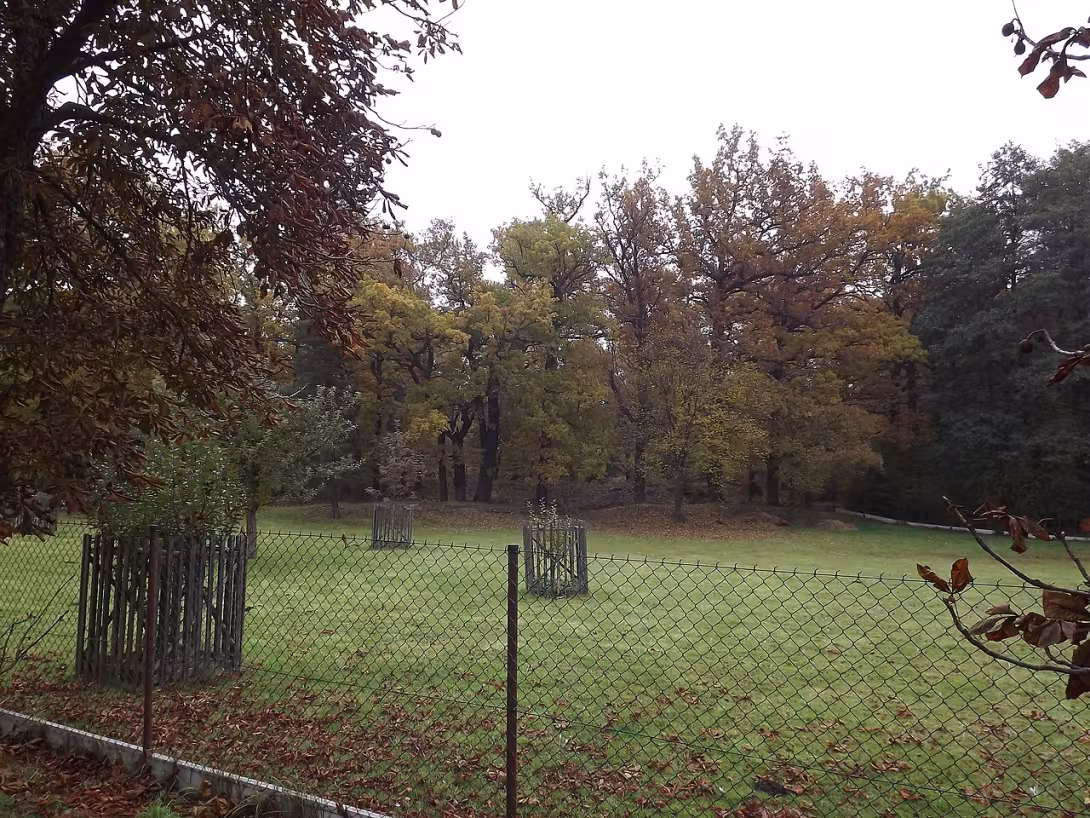 Dnešní pohled – tvrziště Dvorce