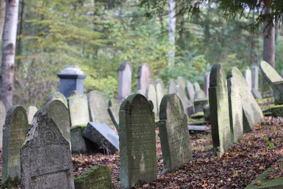 Dnešní pohled – Židovský hřbitov v Ledči nad Sázavou