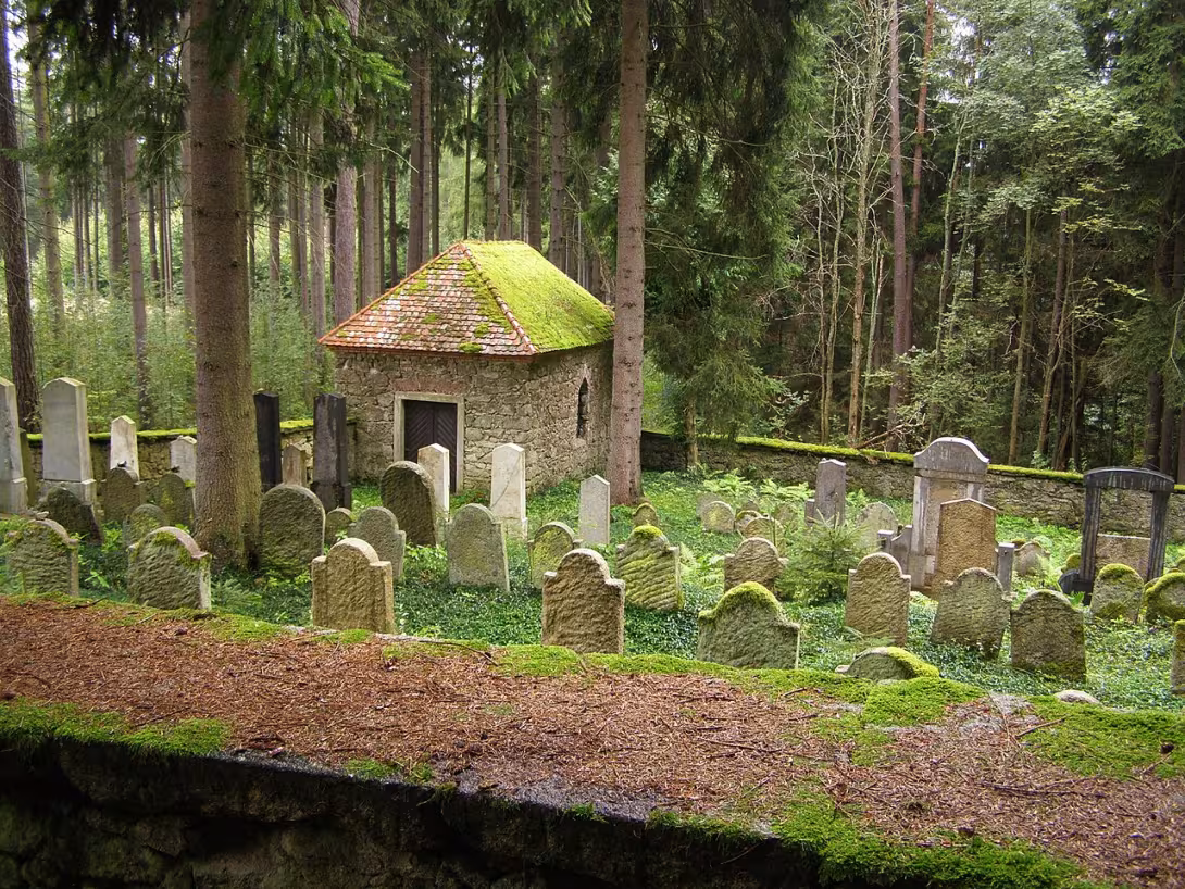 Today's view – Židovský hřbitov v Markvarci